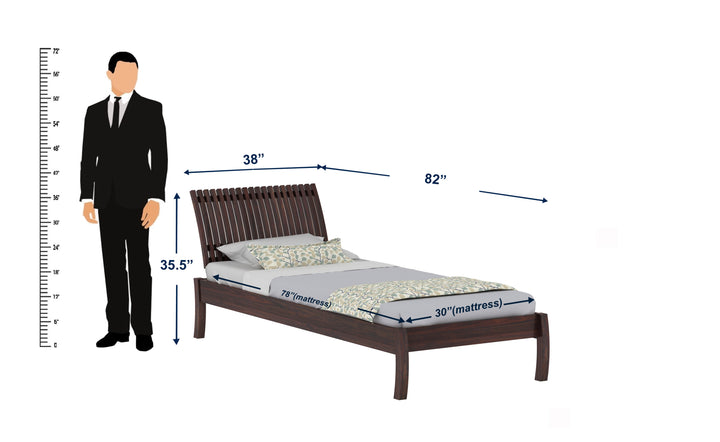 Abril Solid Sheesham Wood Single Bed Without Storage (Walnut Finish)