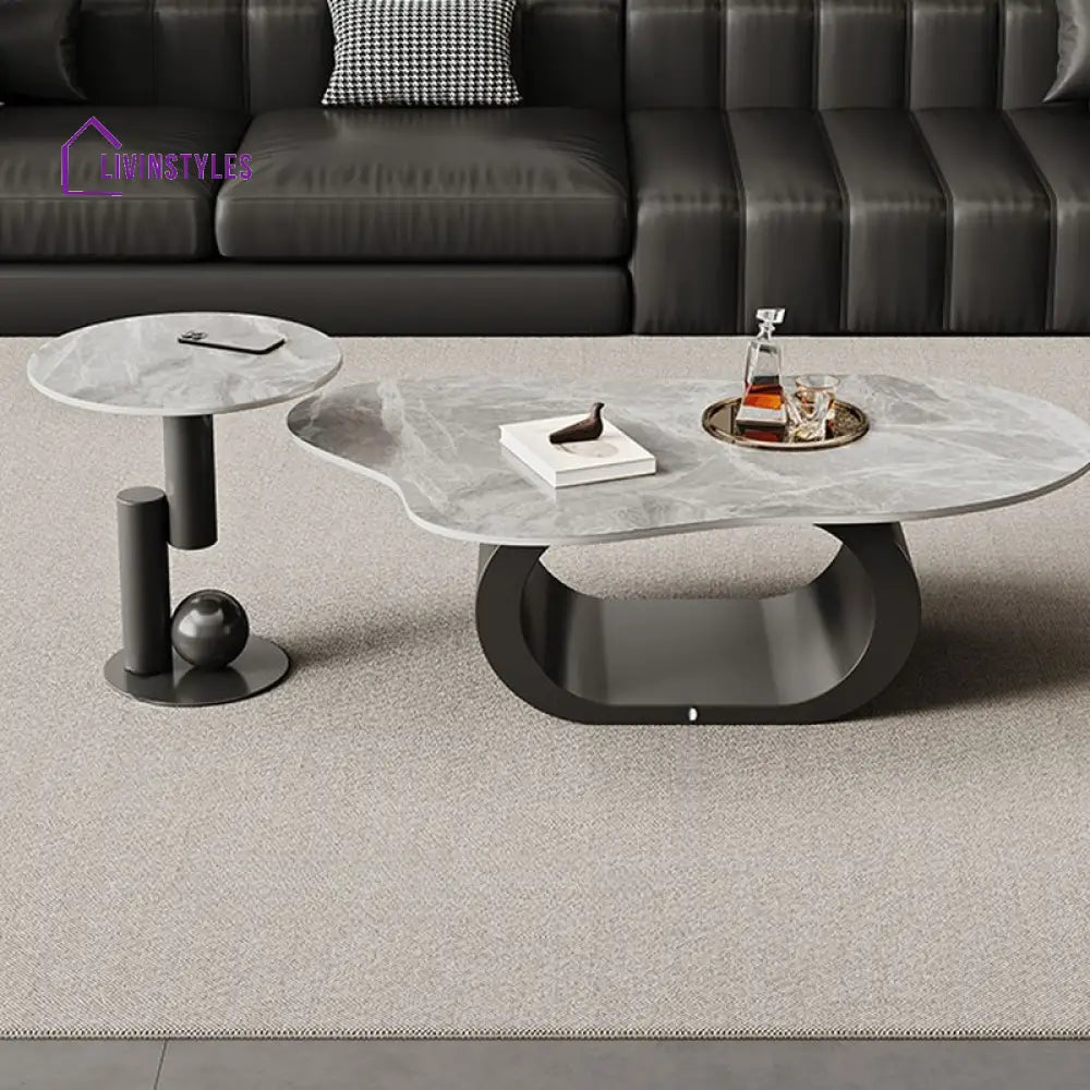 Alva Stainless Steel Coffee Table for Living Room