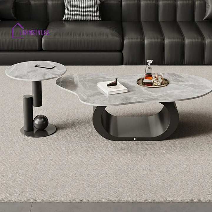 Alva Stainless Steel Coffee Table for Living Room