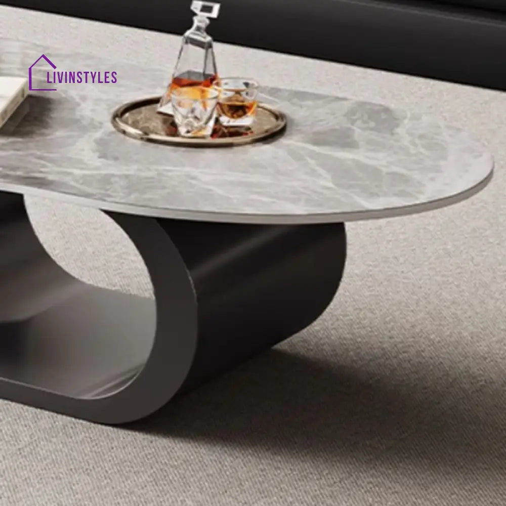 Alva Stainless Steel Coffee Table for Living Room