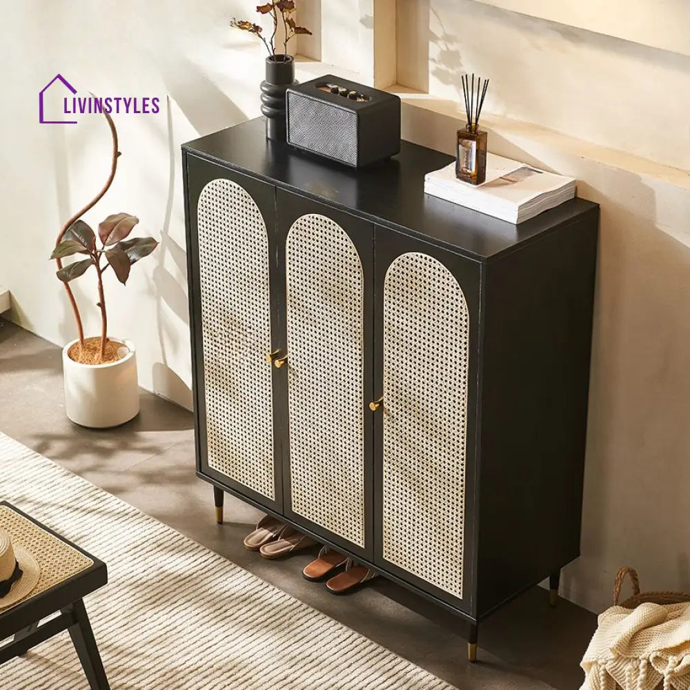 Aniket Solid Wood Shoe Rack for Living Room