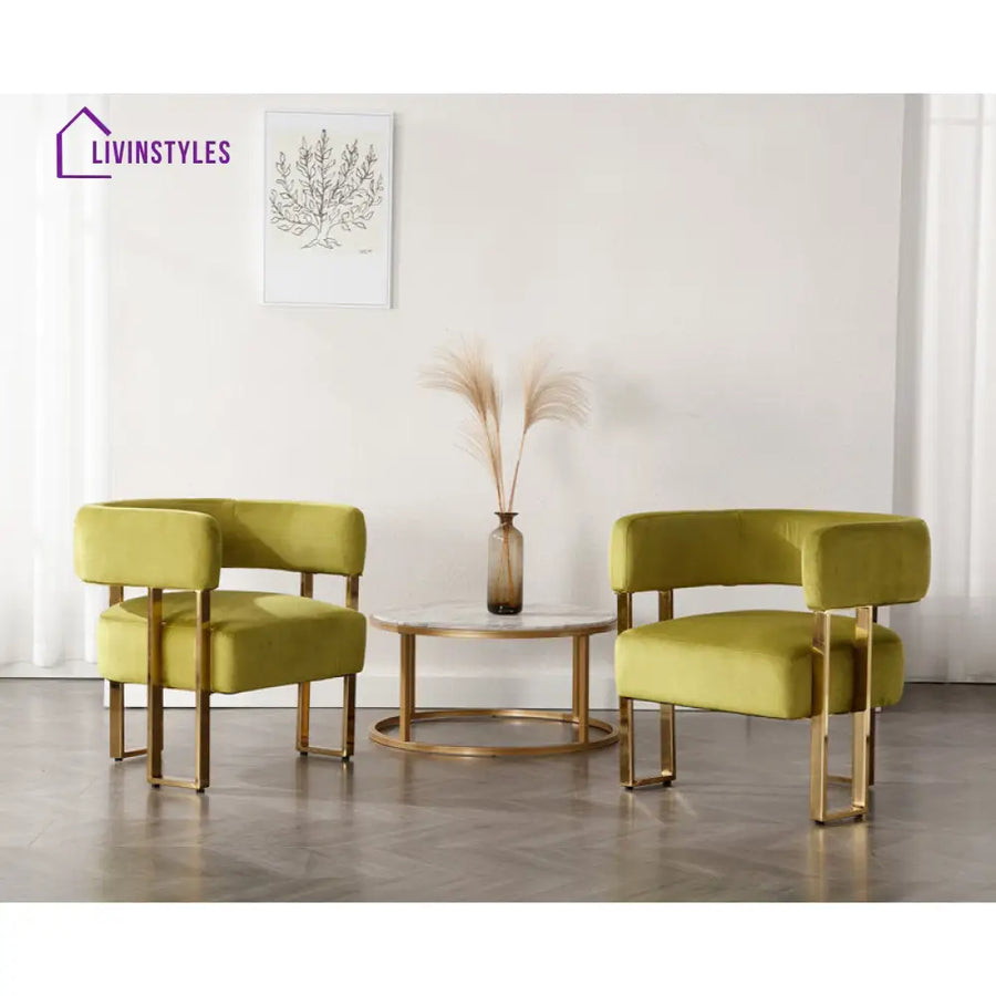 Aroosh Metal and Fabric Arm Chair | Living Room Chair | Lounge Chair