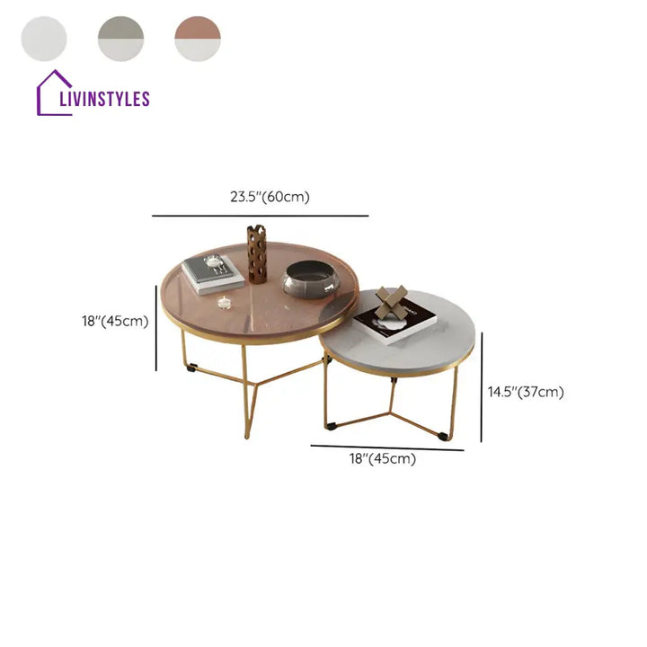 Eshan Stainless Steel Frame Coffee Table for Living Room