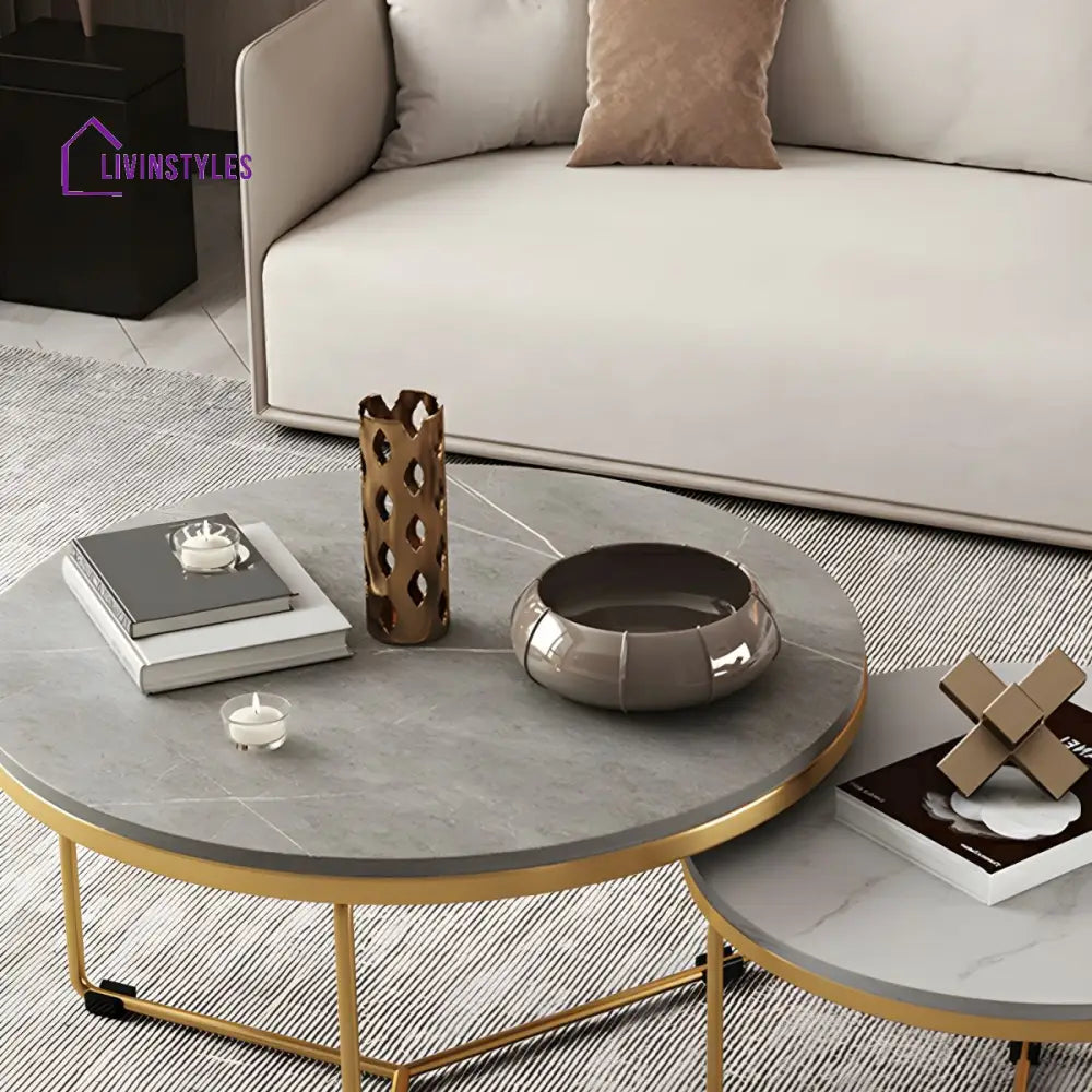 Eshan Stainless Steel Frame Coffee Table for Living Room