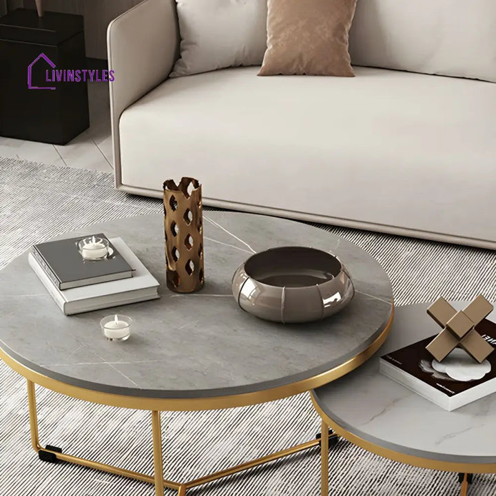 Eshan Stainless Steel Frame Coffee Table for Living Room