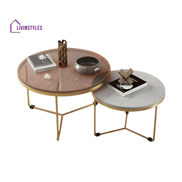 Eshan Stainless Steel Frame Coffee Table for Living Room