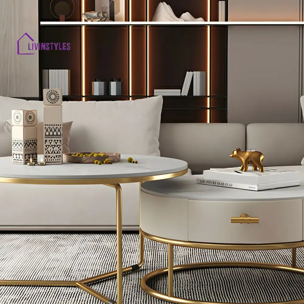 Eshan Stainless Steel Frame Coffee Table for Living Room