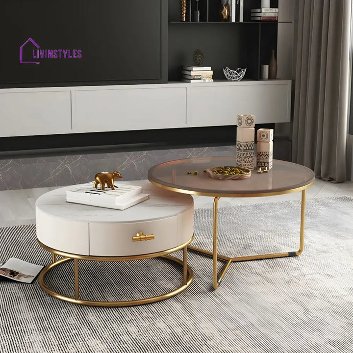 Eshan Stainless Steel Frame Coffee Table for Living Room