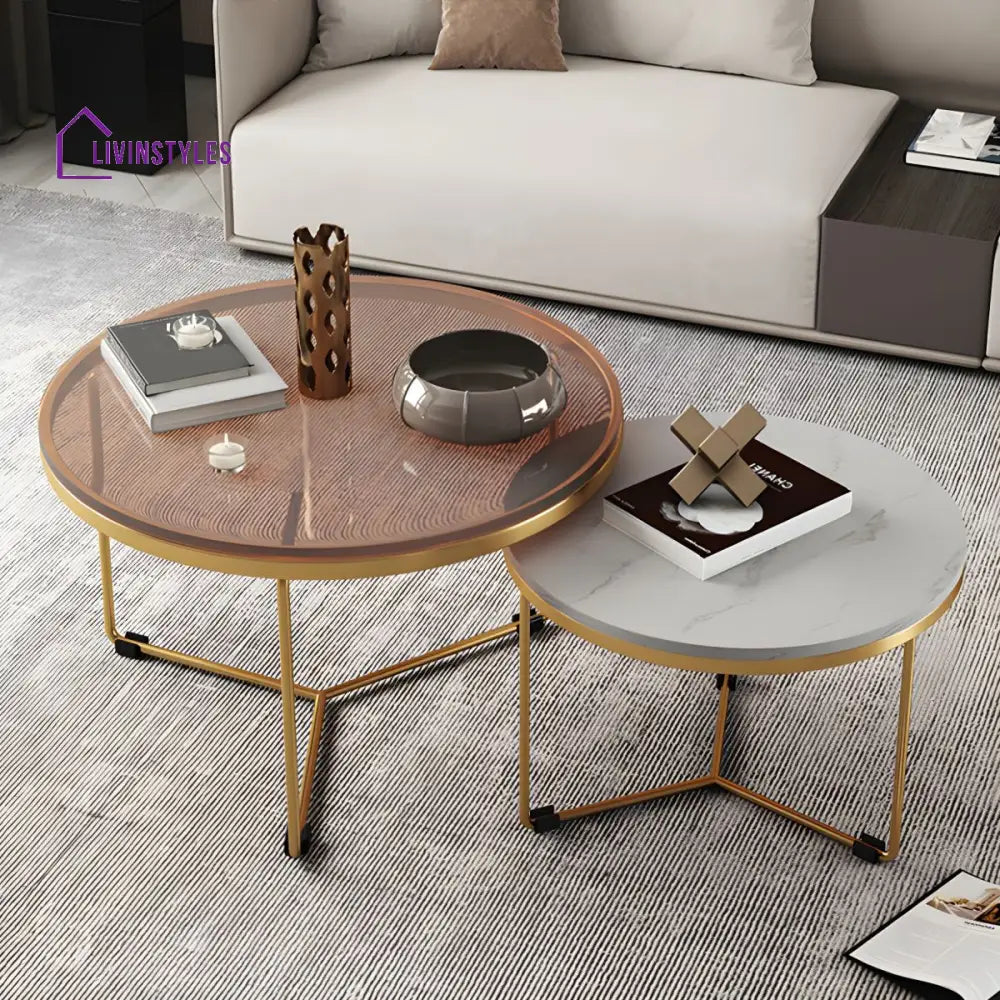 Eshan Stainless Steel Frame Coffee Table for Living Room