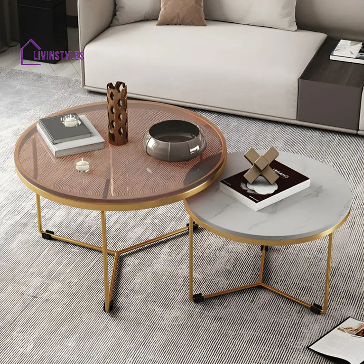 Eshan Stainless Steel Frame Coffee Table for Living Room