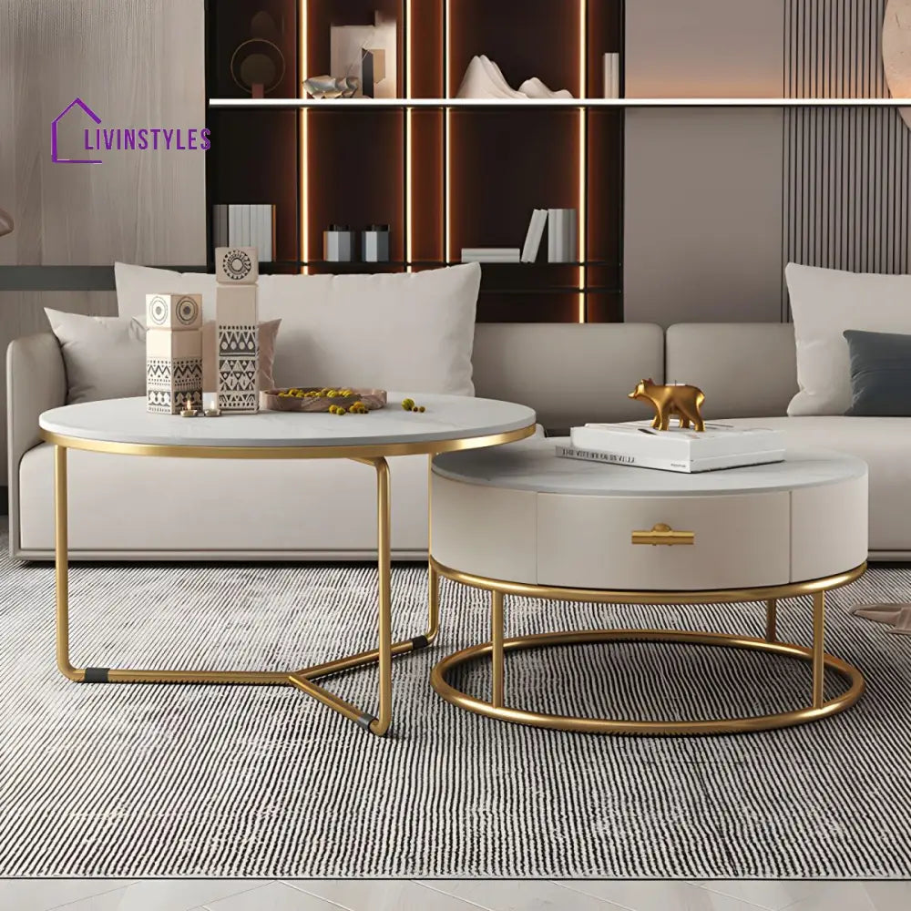 Eshan Stainless Steel Frame Coffee Table for Living Room