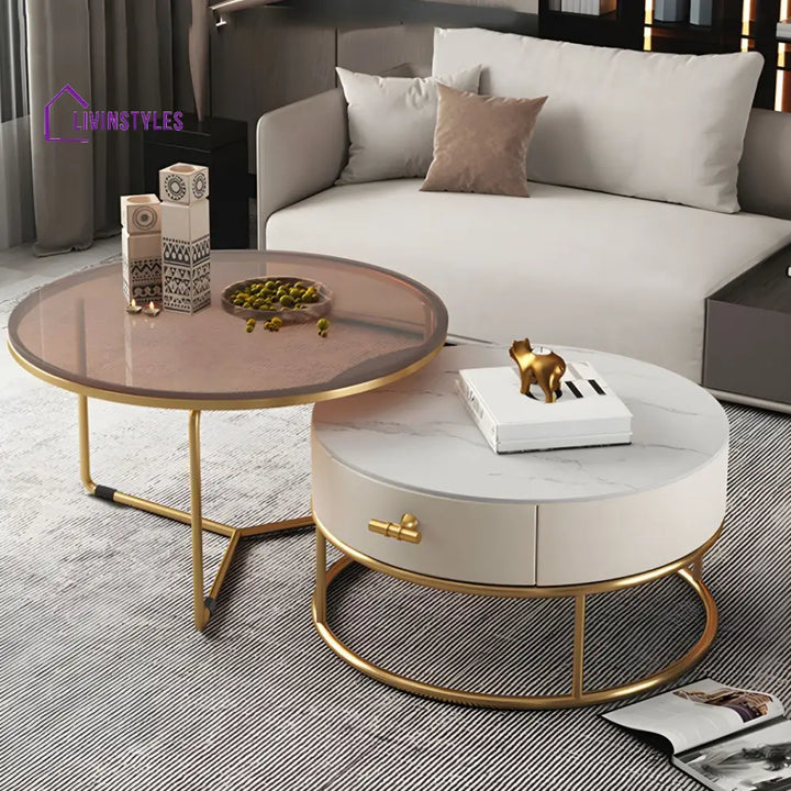 Eshan Stainless Steel Frame Coffee Table for Living Room