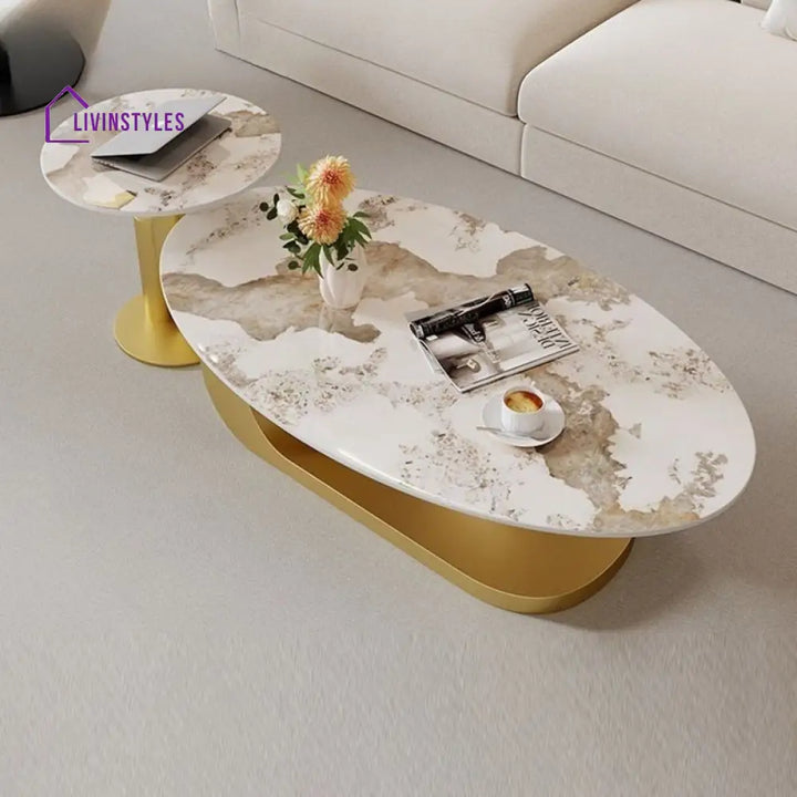 Luna Stainless Steel Coffee Table | Composite Marble - Set of 2