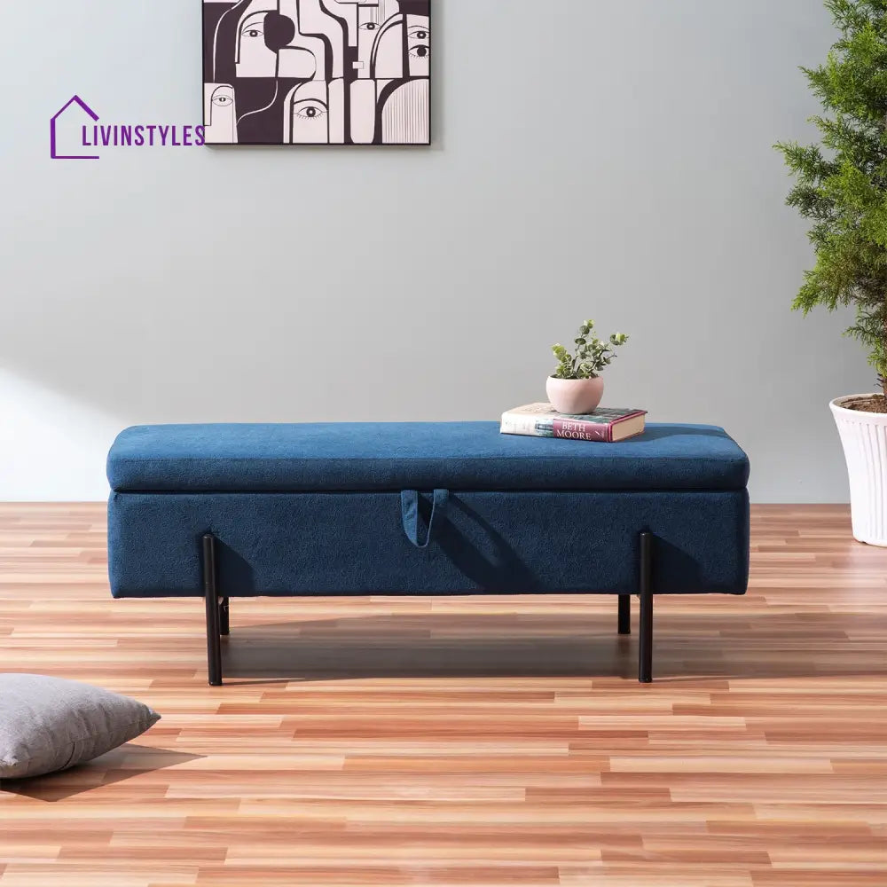 Solomiya Storage Bench Furniture