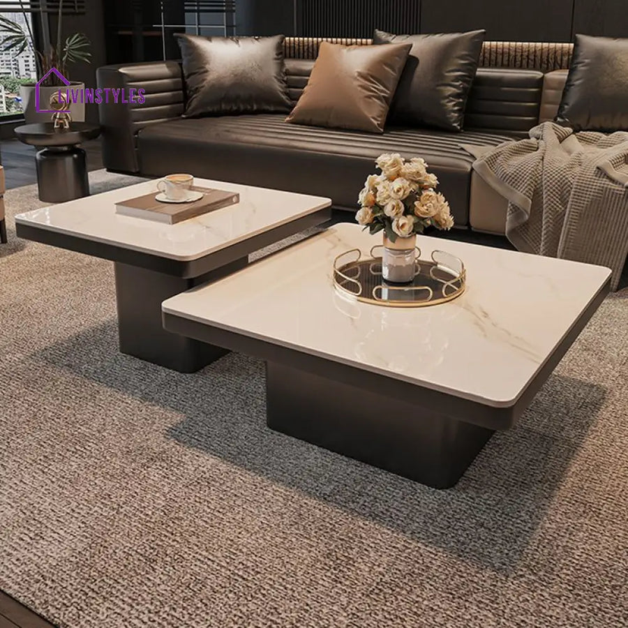Terra Stainless Steel Coffee Table Set | Square Shaped | Ceramic Composite Marble - Set of 2