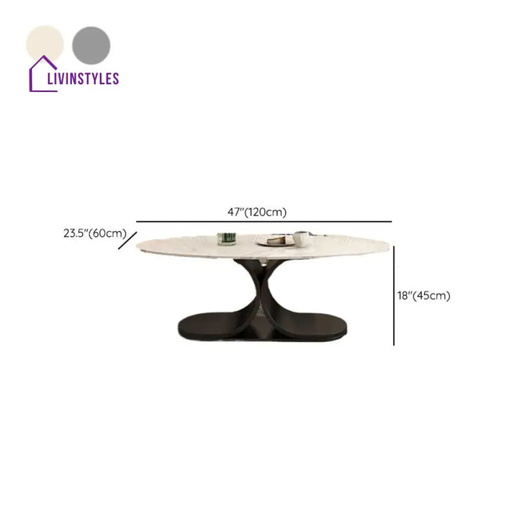 Ushini Stainless Steel Frame Coffee Table for Living Room