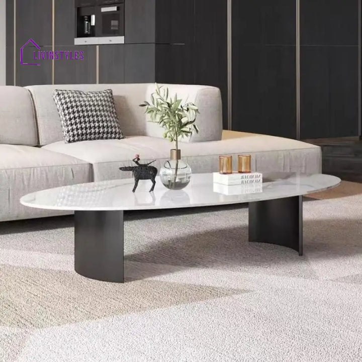 Velora Stainless Steel Coffee Table for Living Room | Oval Shape | Composite Ceramic Marble