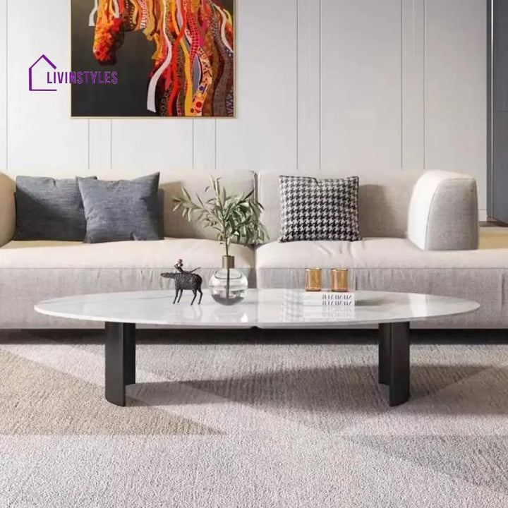 Velora Stainless Steel Coffee Table for Living Room | Oval Shape | Composite Ceramic Marble