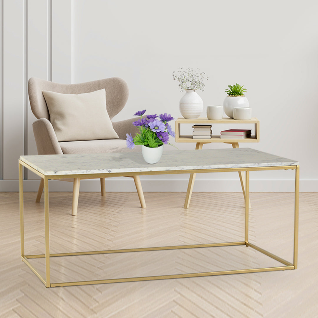 Windsor Marble Coffee Table In Gold Finish