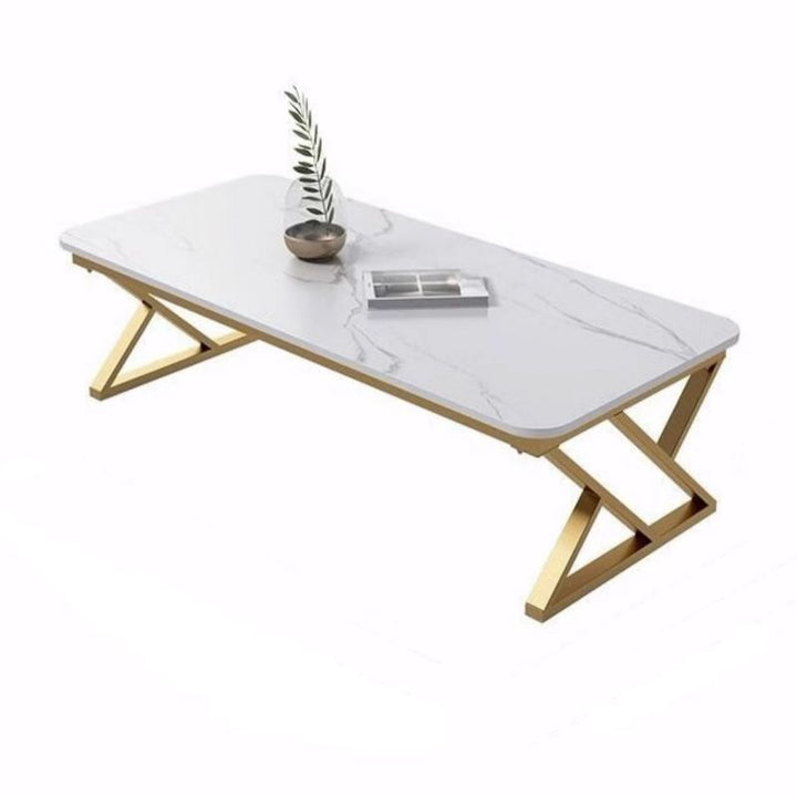Urvashi Metal Coffee Table for Living Room