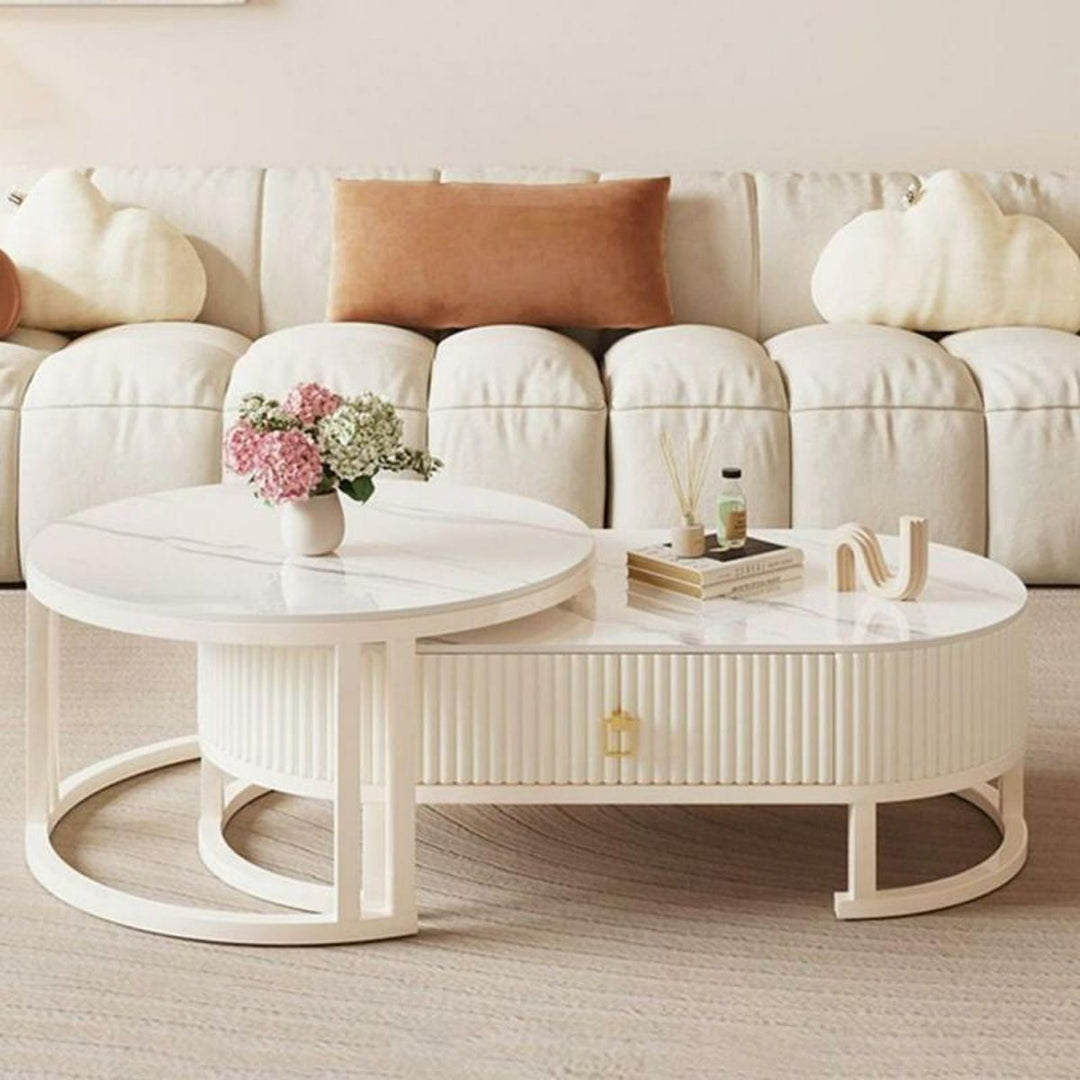 Tanishka White Stainless Steel Frame and Marble Top Coffee Table for Living Room