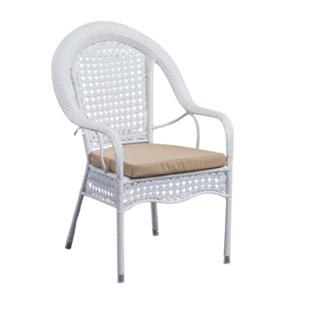 Haneen Outdoor All-Weather Resistant Rattan Wicker 7-Piece Dining Set