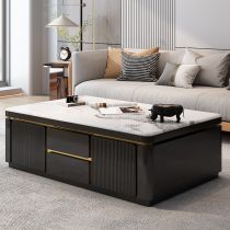 Tanvika Living Room Luxury Coffee Table