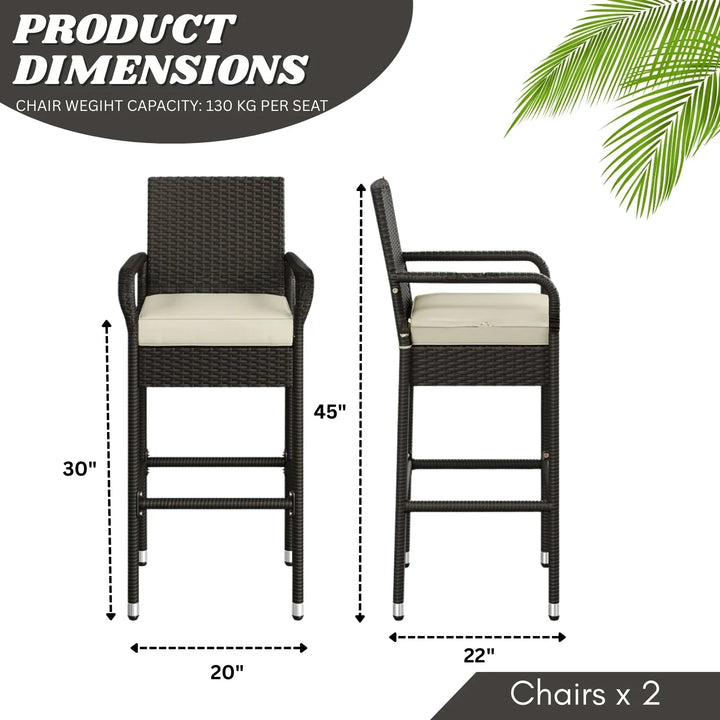 Anneliese Outdoor Rattan Wicker 2-Piece Bar Chairs