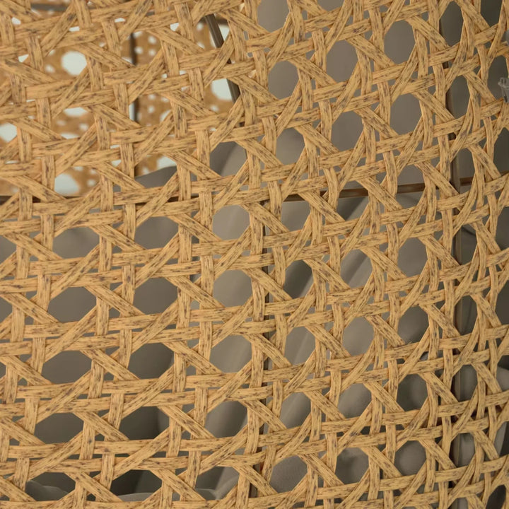 Daniela Egg Swing Chair (Beige and Dark Grey)