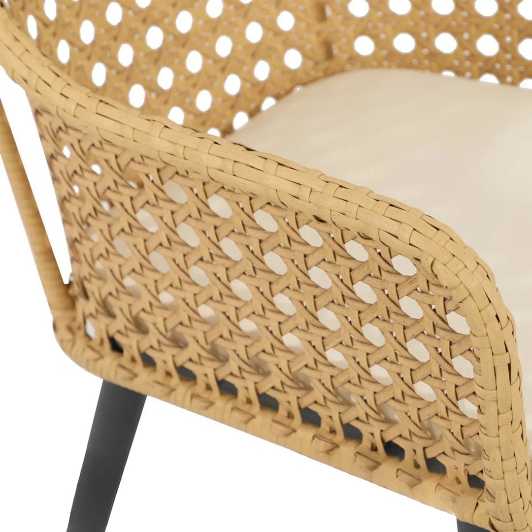 Shreya 2-Piece Outdoor Rattan Wicker Patio Dining Chairs