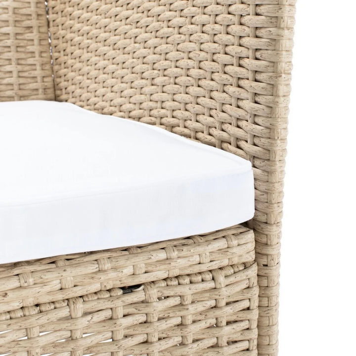 Bongiwe 9-Piece Outdoor Rattan Wicker Dinning Table Set