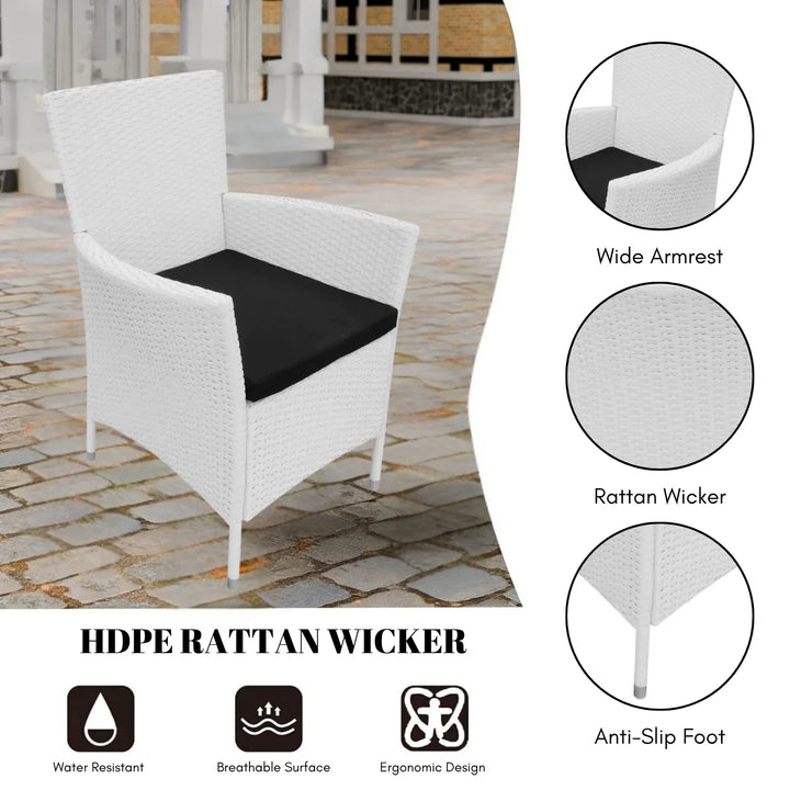 Seraphina 9-Piece Outdoor Rattan Wicker Dinning Table Set