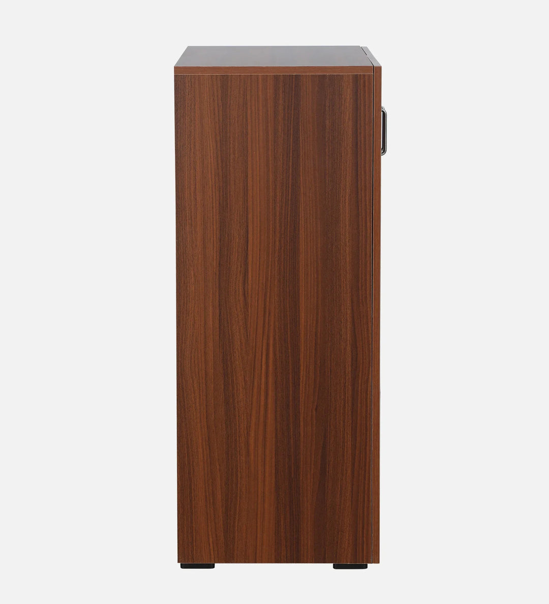Walnut Elegance Shoe Cabinet