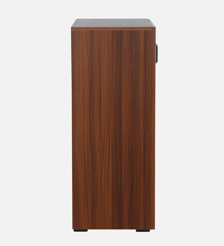Walnut Elegance Shoe Cabinet