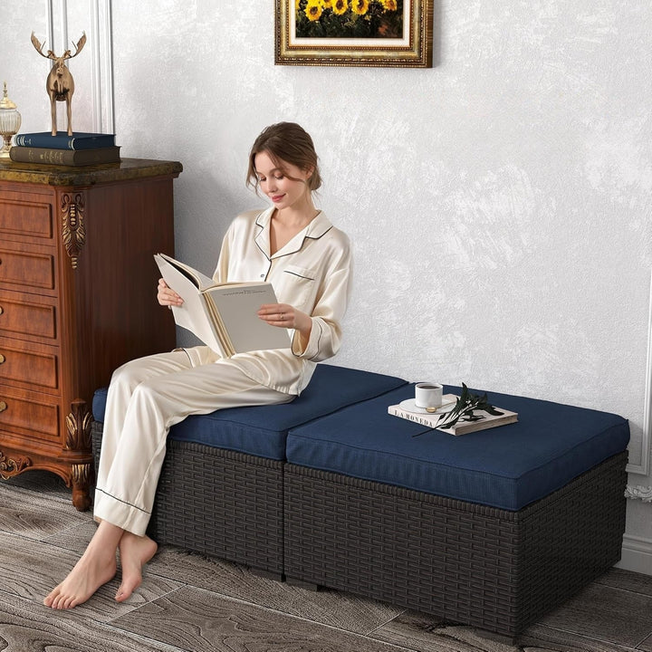 Brigitte Outdoor Rattan Wicker 2-Piece Ottoman Set