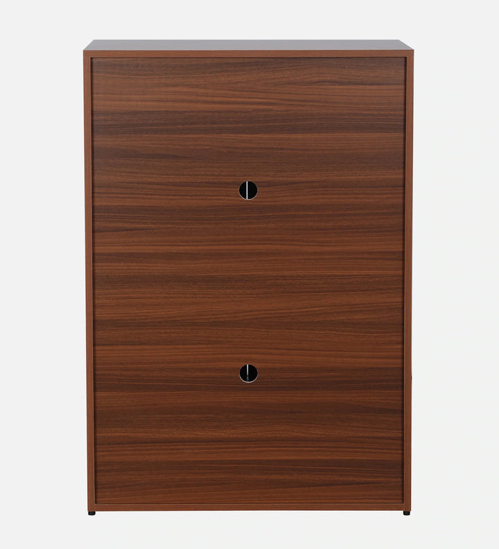 Walnut Elegance Shoe Cabinet