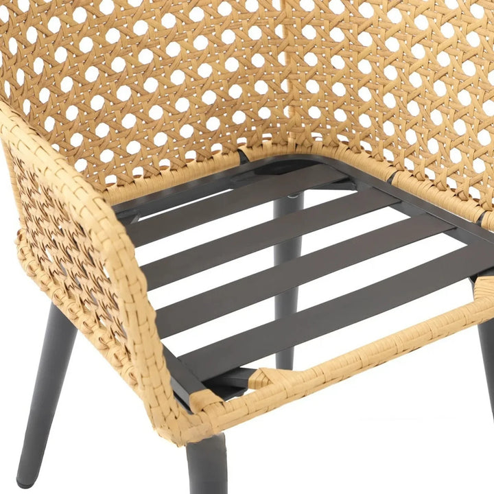 Shreya 2-Piece Outdoor Rattan Wicker Patio Dining Chairs