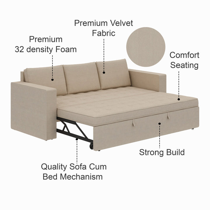 Mario Three Seater Upholstered Sofa Cum Bed Velvet - 12 Months Warranty - CREAM - Seasame - Sofa Cum Bed