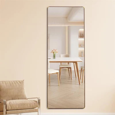 Liza Stainless Steel Frame Full Length Mirror