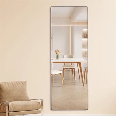 Liza Stainless Steel Frame Full Length Mirror