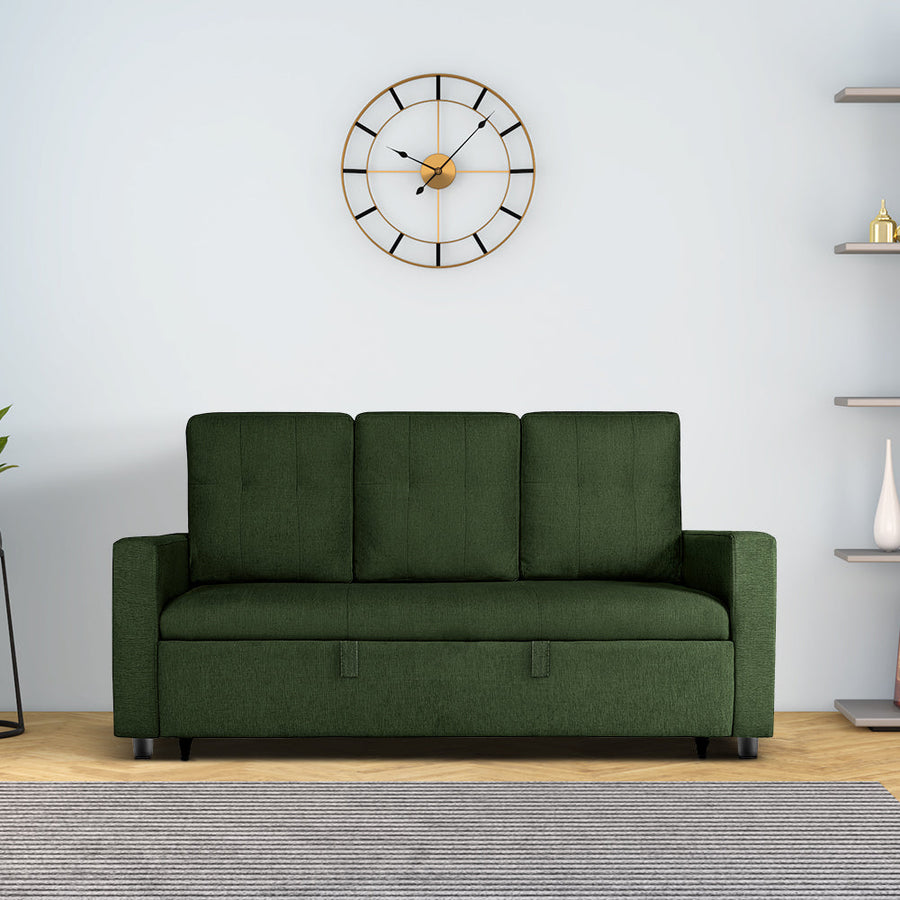 Yeremey Sap Green Fabric Sofa cum Bed