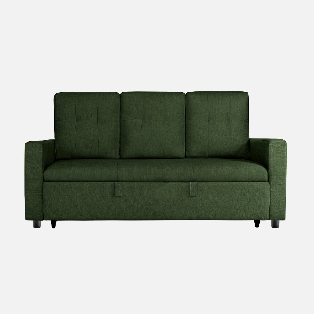 Yeremey Sap Green Fabric Sofa cum Bed