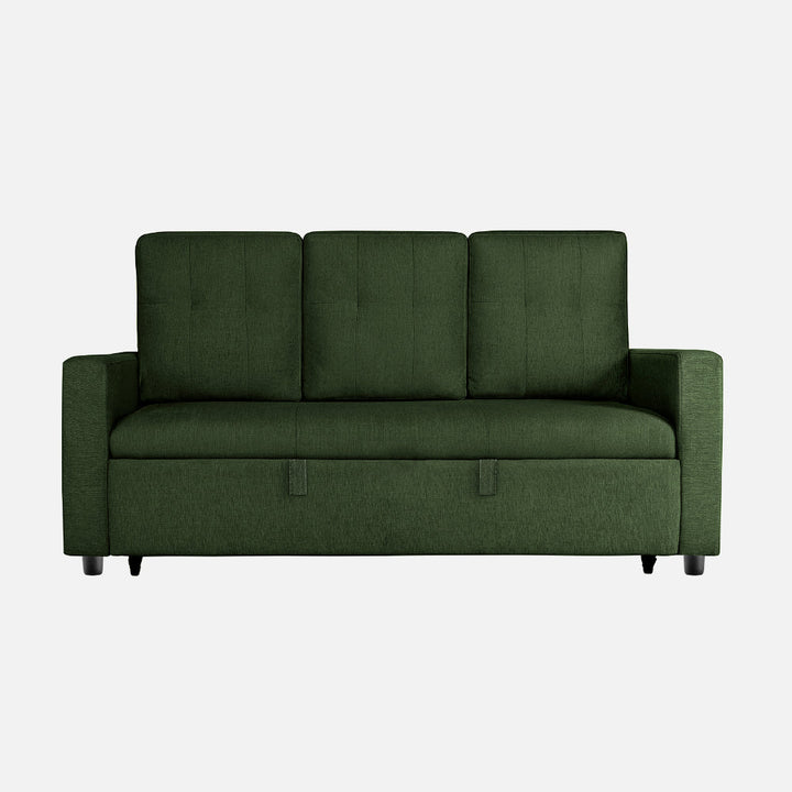 Yeremey Sap Green Fabric Sofa cum Bed