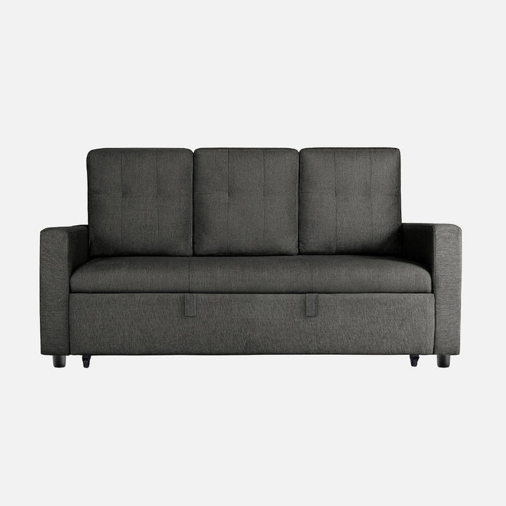 Yeremey Graphite Grey Fabric Sofa cum Bed