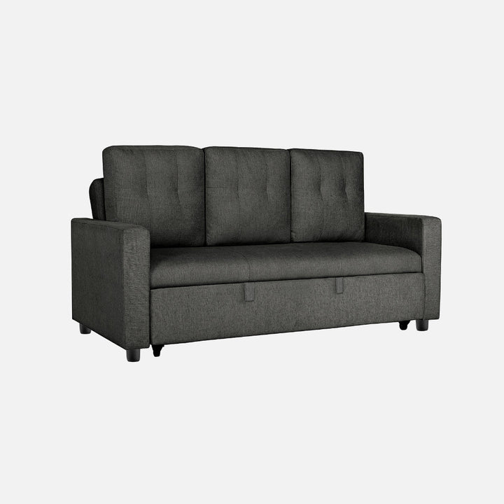 Yeremey Graphite Grey Fabric Sofa cum Bed
