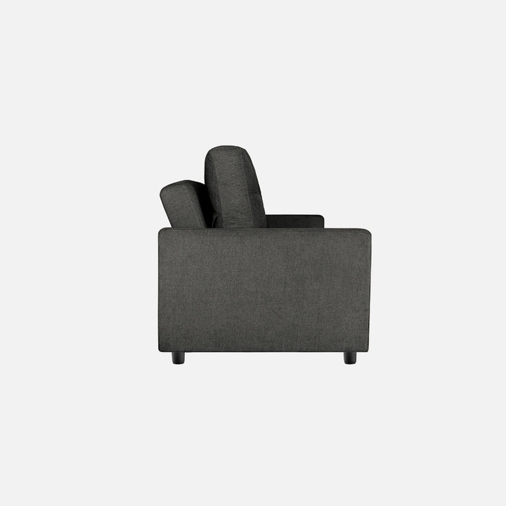 Yeremey Graphite Grey Fabric Sofa cum Bed