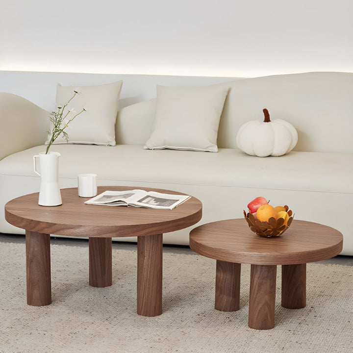 Dhriti Solid Wood Coffee Table for Living Room - Single Table Only