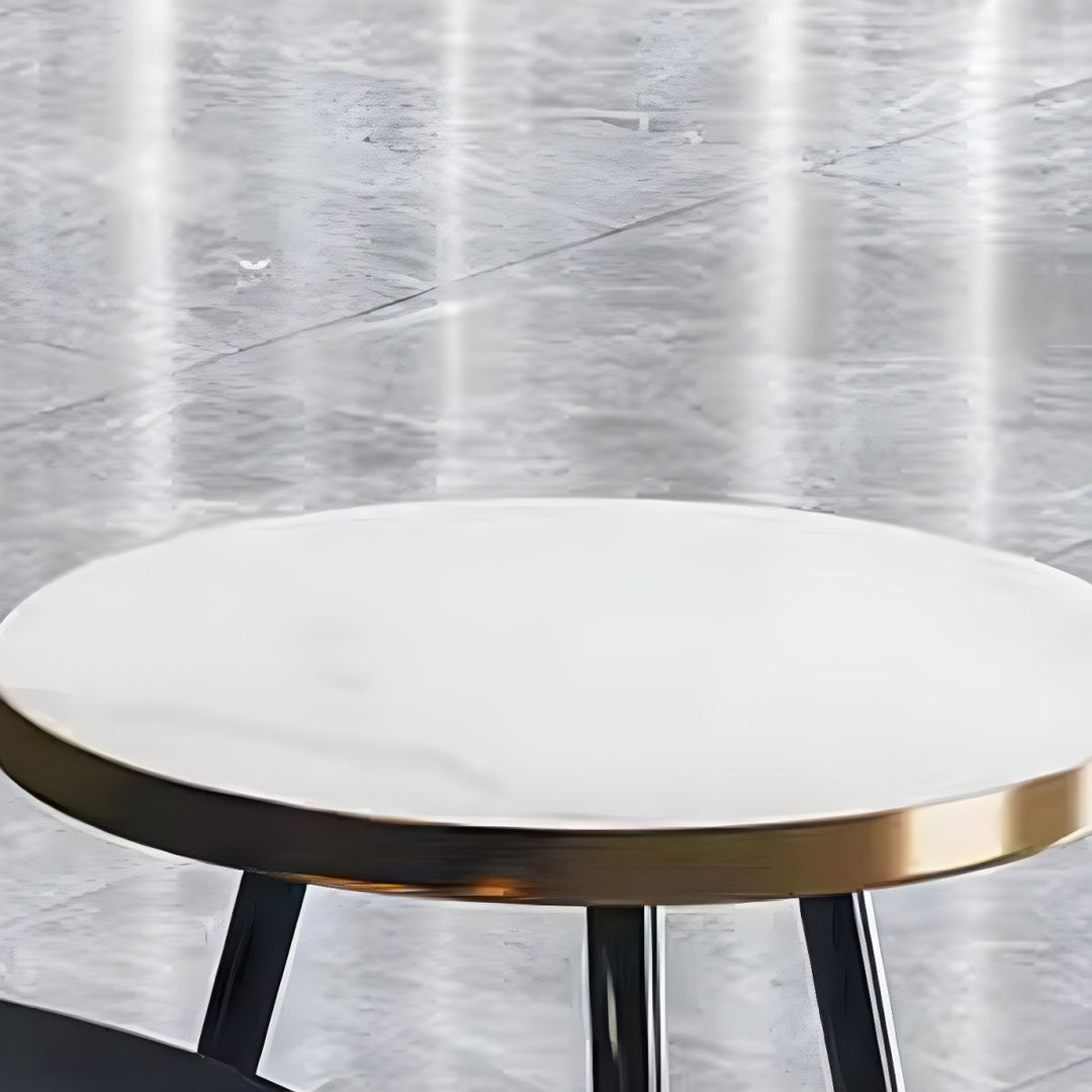 Falguni Stainless Steel Frame Coffee Table for Living Room