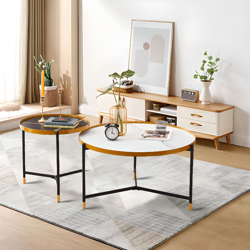 Tanika Stainless Steel Frame Coffee Table for Living Room