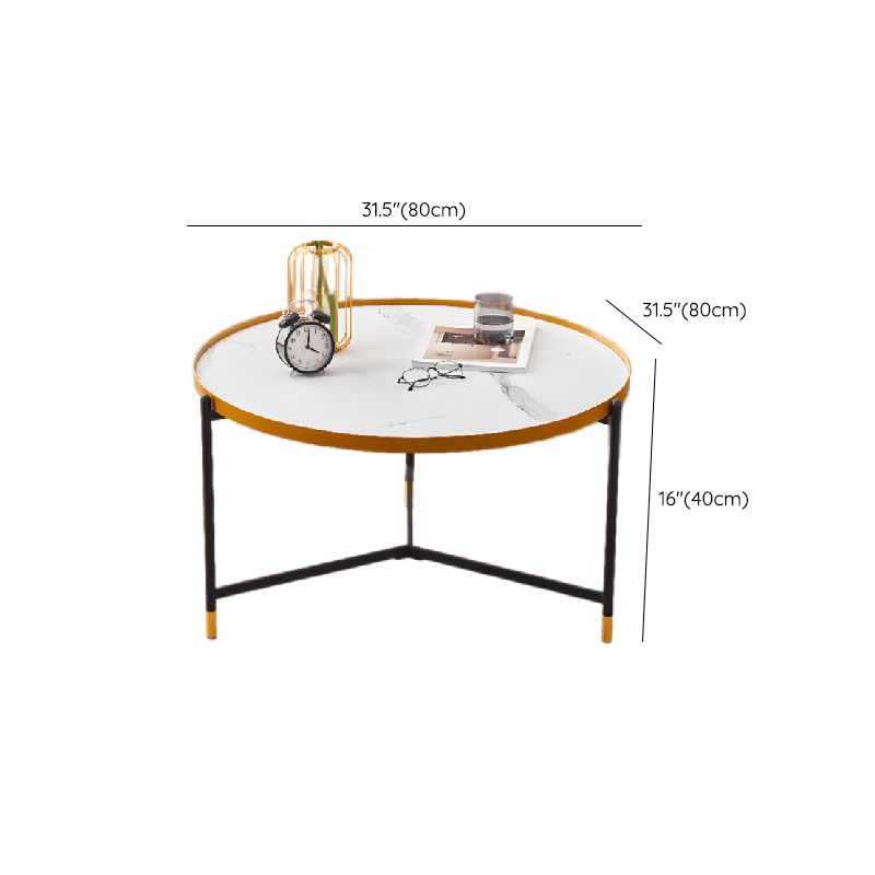 Tanika Stainless Steel Frame Coffee Table for Living Room